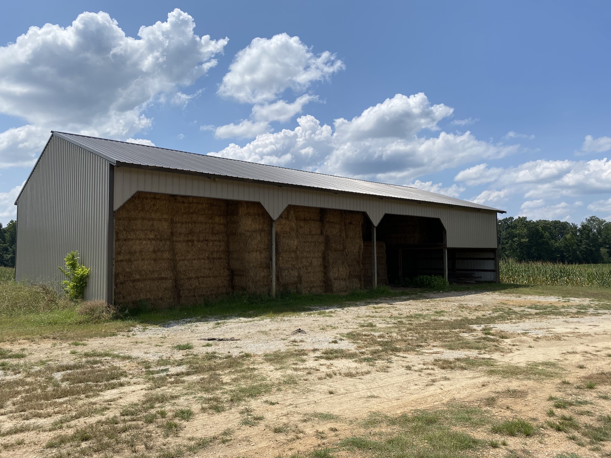 75 Glendale Road Loretto, TN 38469 - Photo 49 of 50