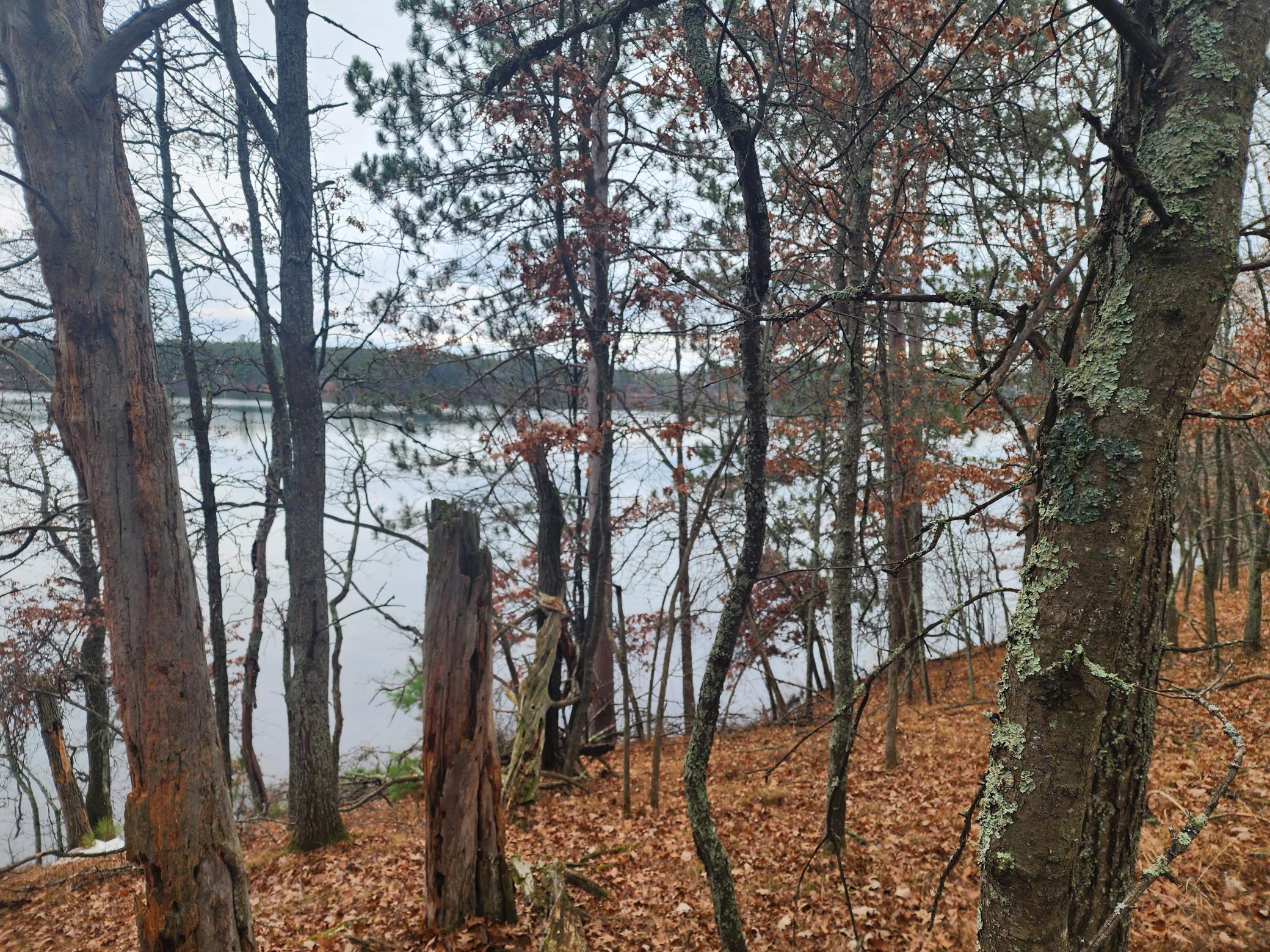 0 Severin Gordon, WI 54838 - Photo 1 of 1 Gallery Image 1