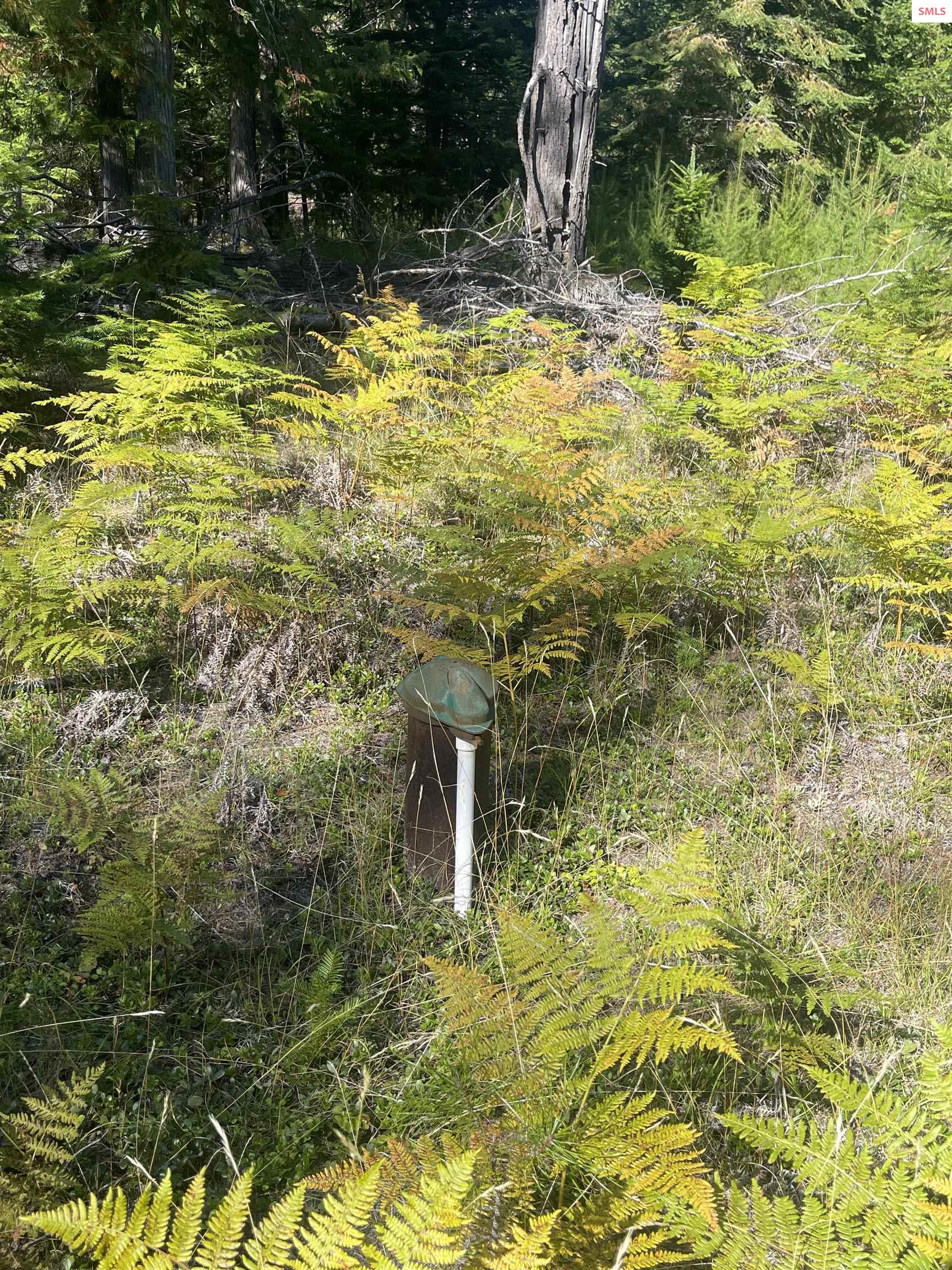 631 Wolverine Road Moyie Springs, ID 83845 - Photo 85 of 87 Well