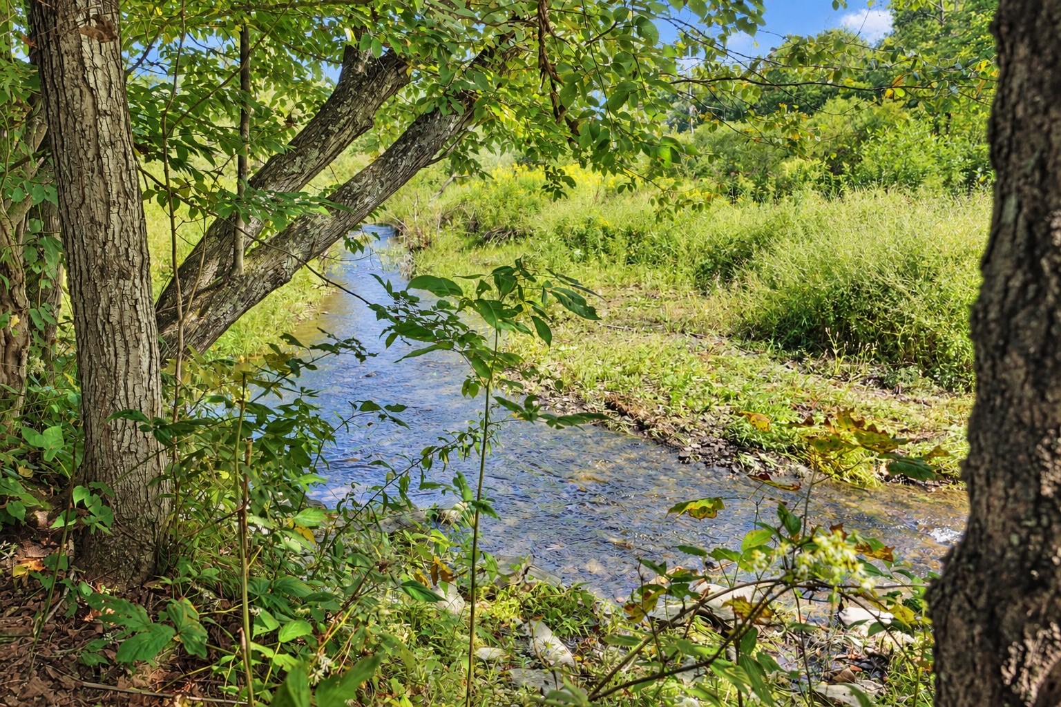 950 Page Brook Road Whitney Point, NY 13862 - Photo 13 of 13 Gallery Image 13