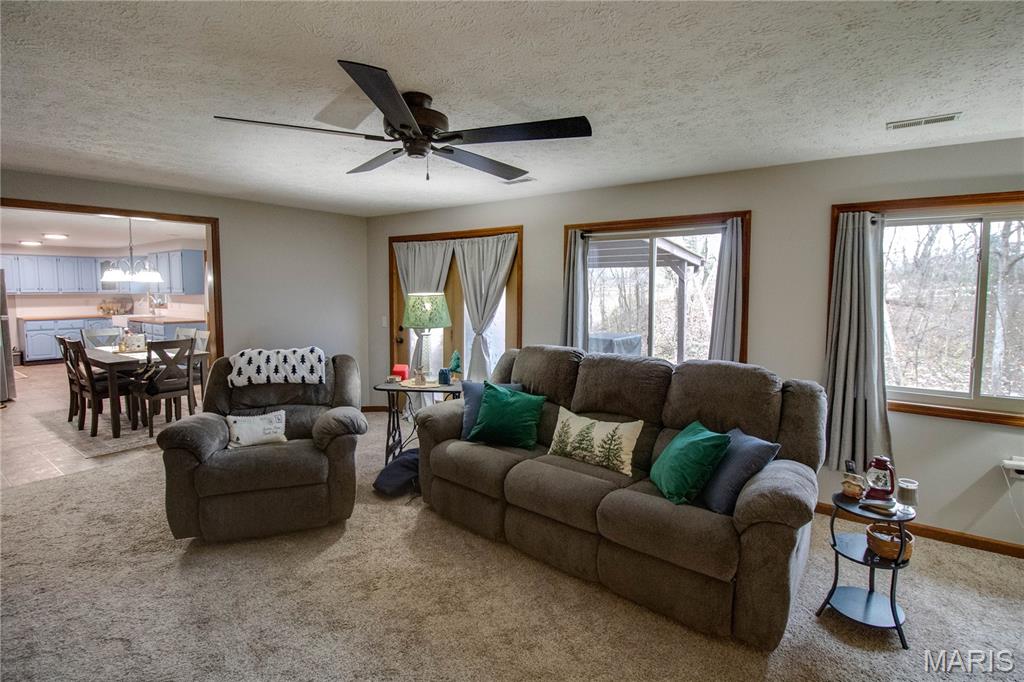 32952 Crystal Lake Road Jerseyville, IL 62052 - Photo 13 of 43