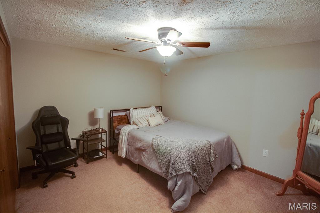 32952 Crystal Lake Road Jerseyville, IL 62052 - Photo 19 of 43