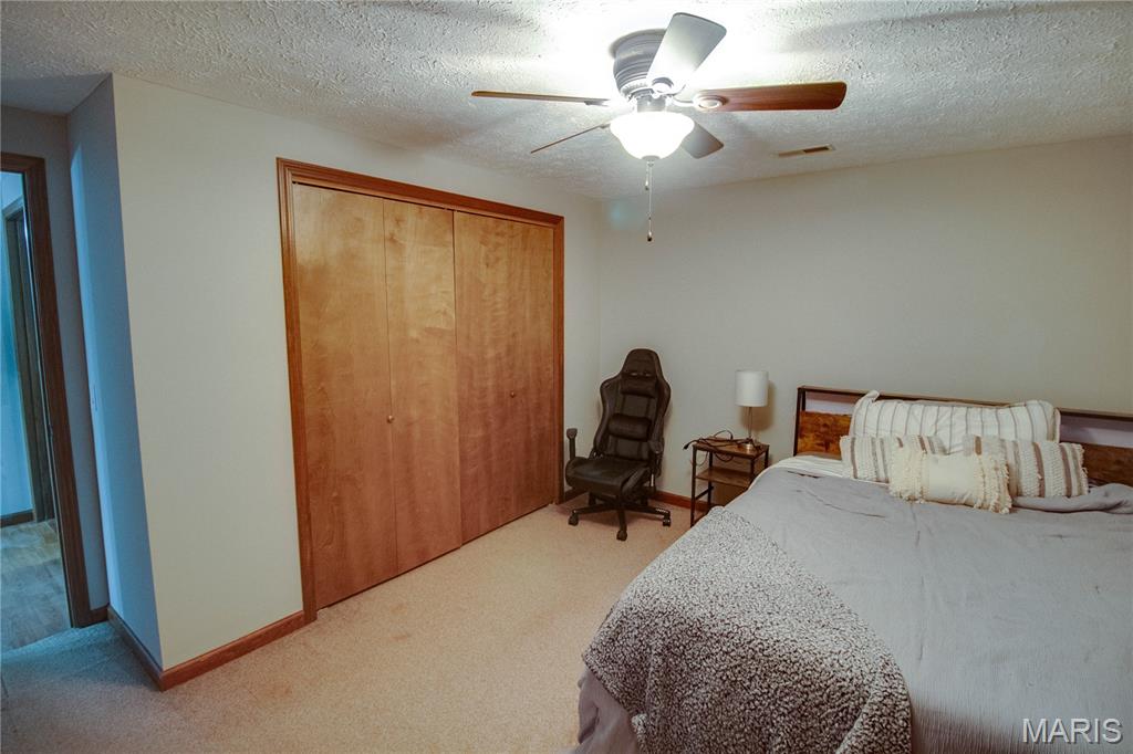 32952 Crystal Lake Road Jerseyville, IL 62052 - Photo 20 of 43