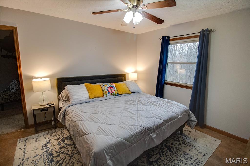 32952 Crystal Lake Road Jerseyville, IL 62052 - Photo 34 of 43