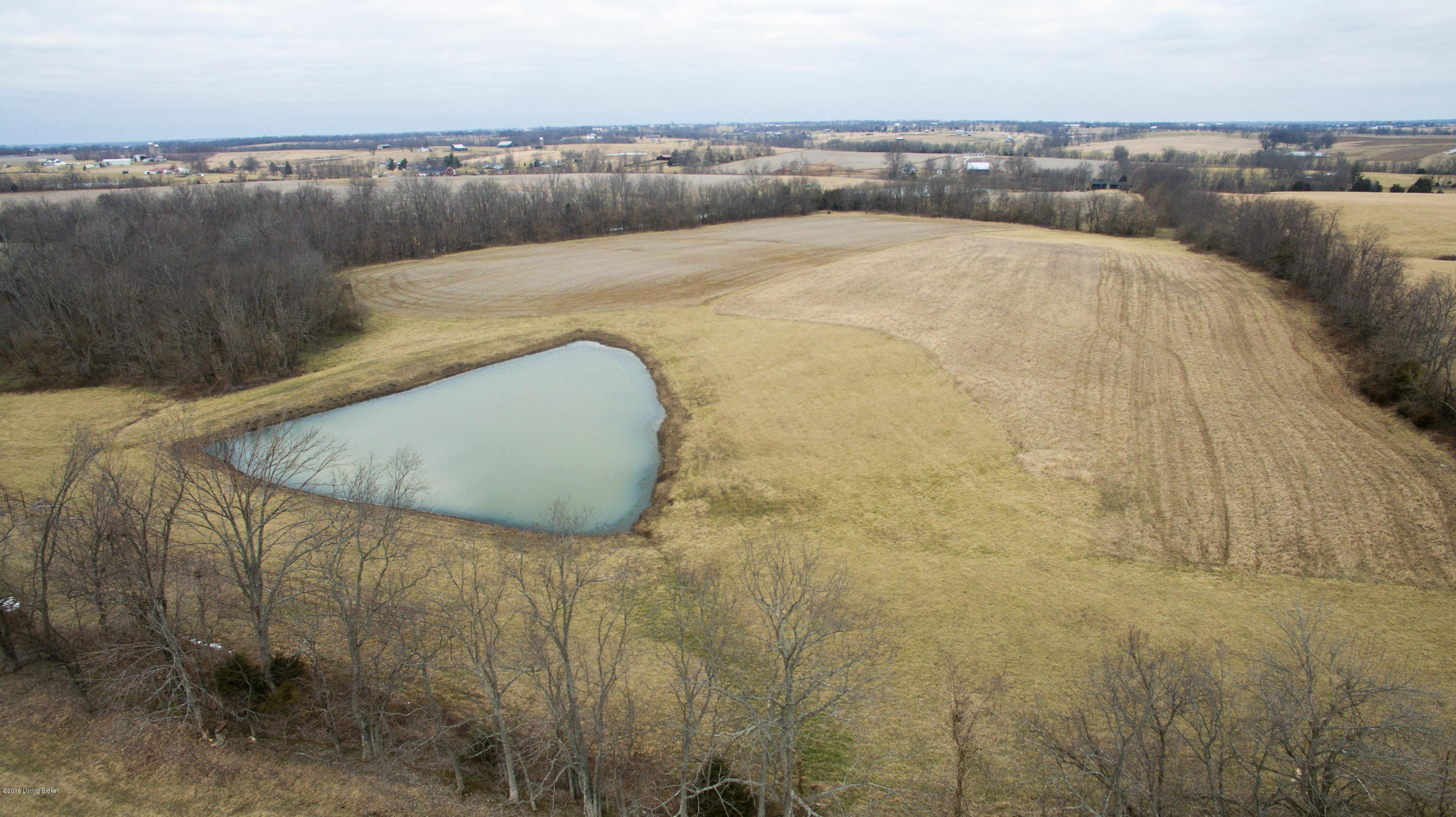 2 Cropper Road Pleasureville, KY 40057 - Photo 5 of 8 Back-Field