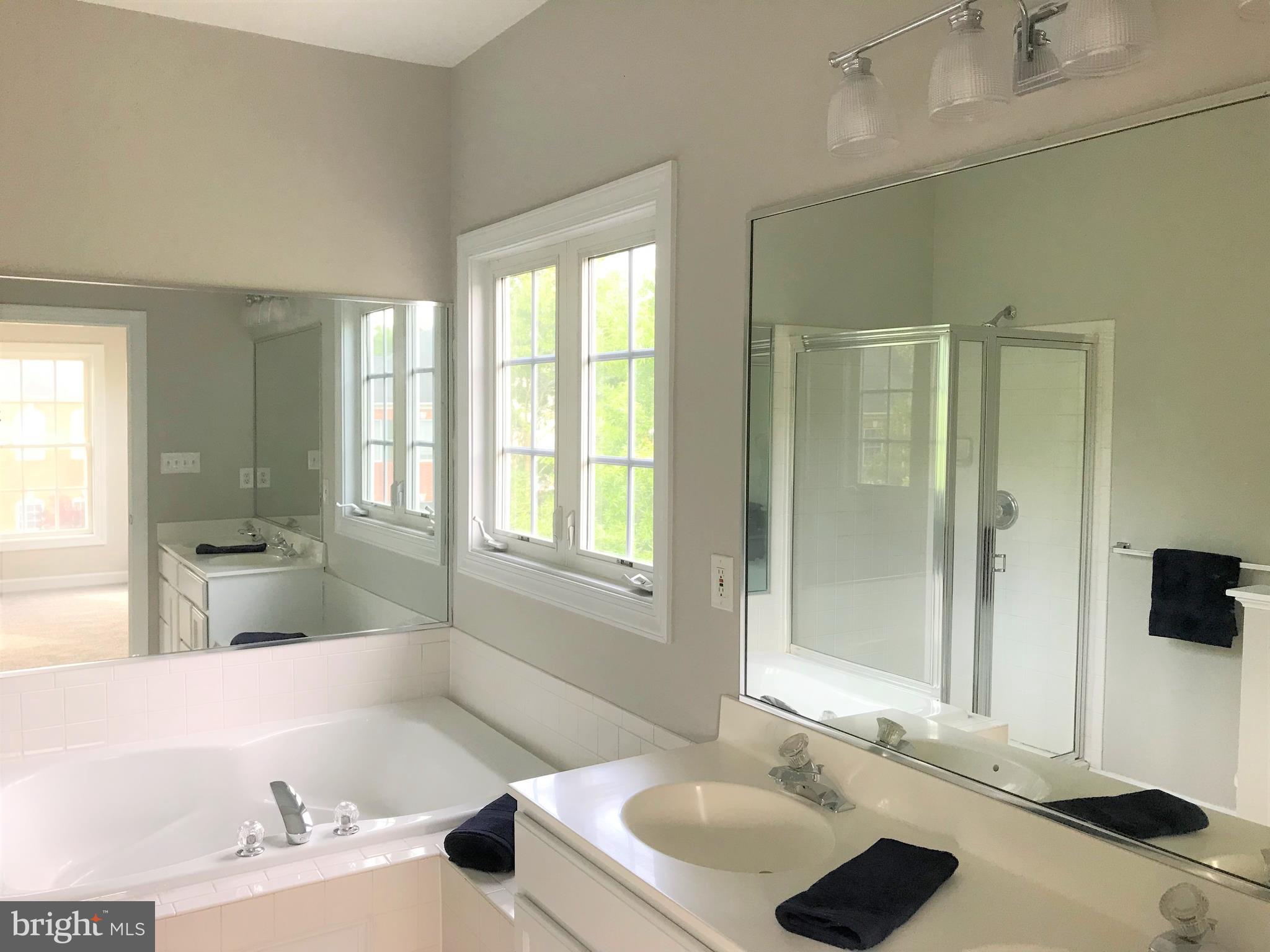 175 Riverton Place Edgewater, MD 21037 - Photo 13 of 26 Master Bath with Double Sinks