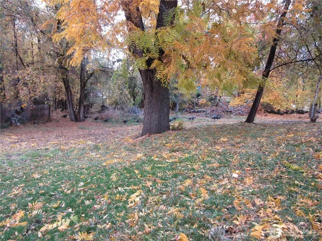 a backyard of a house with lots of green space