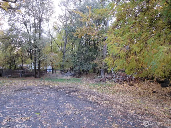 a view of a yard with a tree