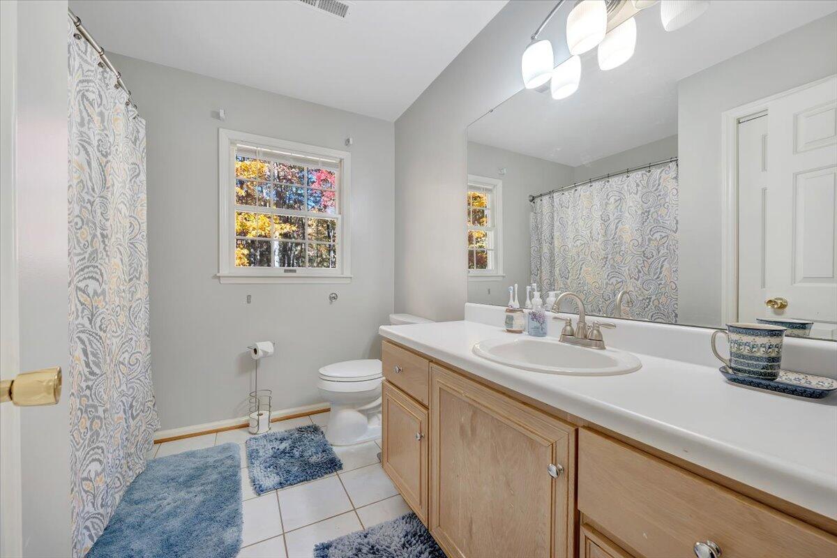 6128 Buckland Mill Road Roanoke, VA 24019 - Photo 32 of 37 a bathroom with a double vanity sink a toilet and a mirror