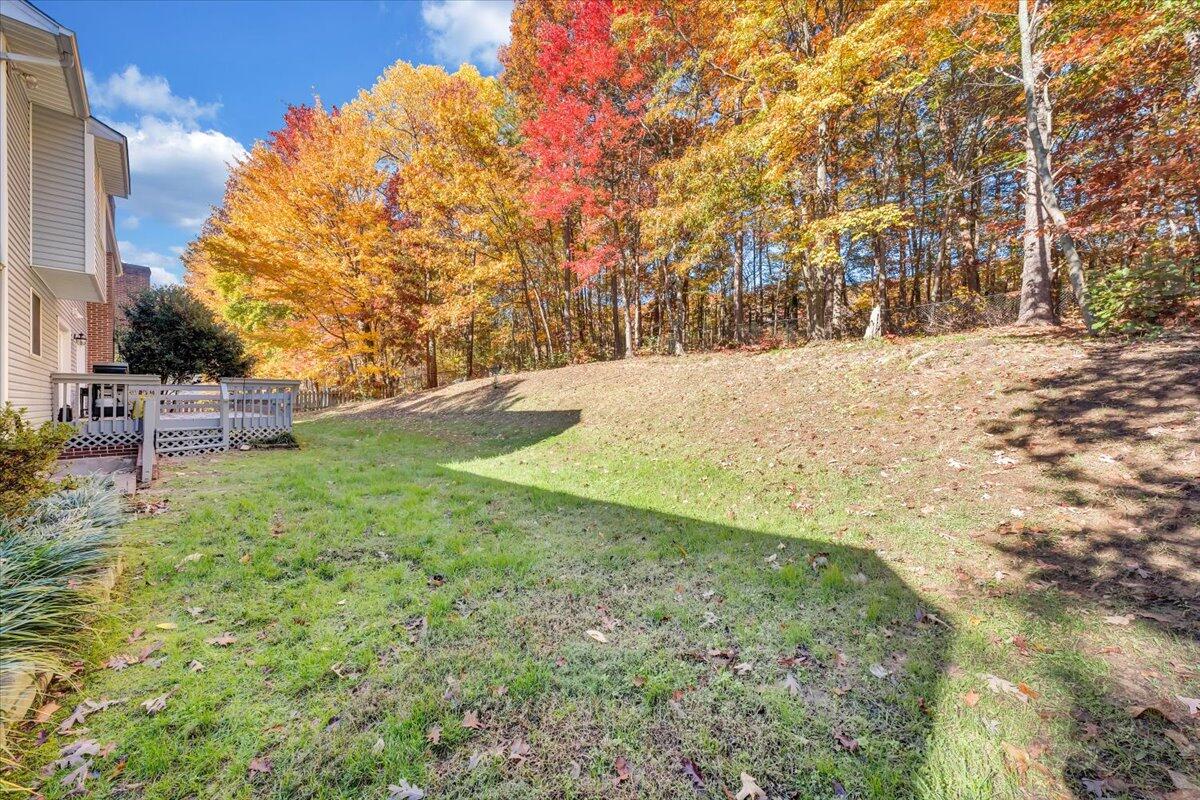 6128 Buckland Mill Road Roanoke, VA 24019 - Photo 9 of 37 a view of outdoor space yard and tree