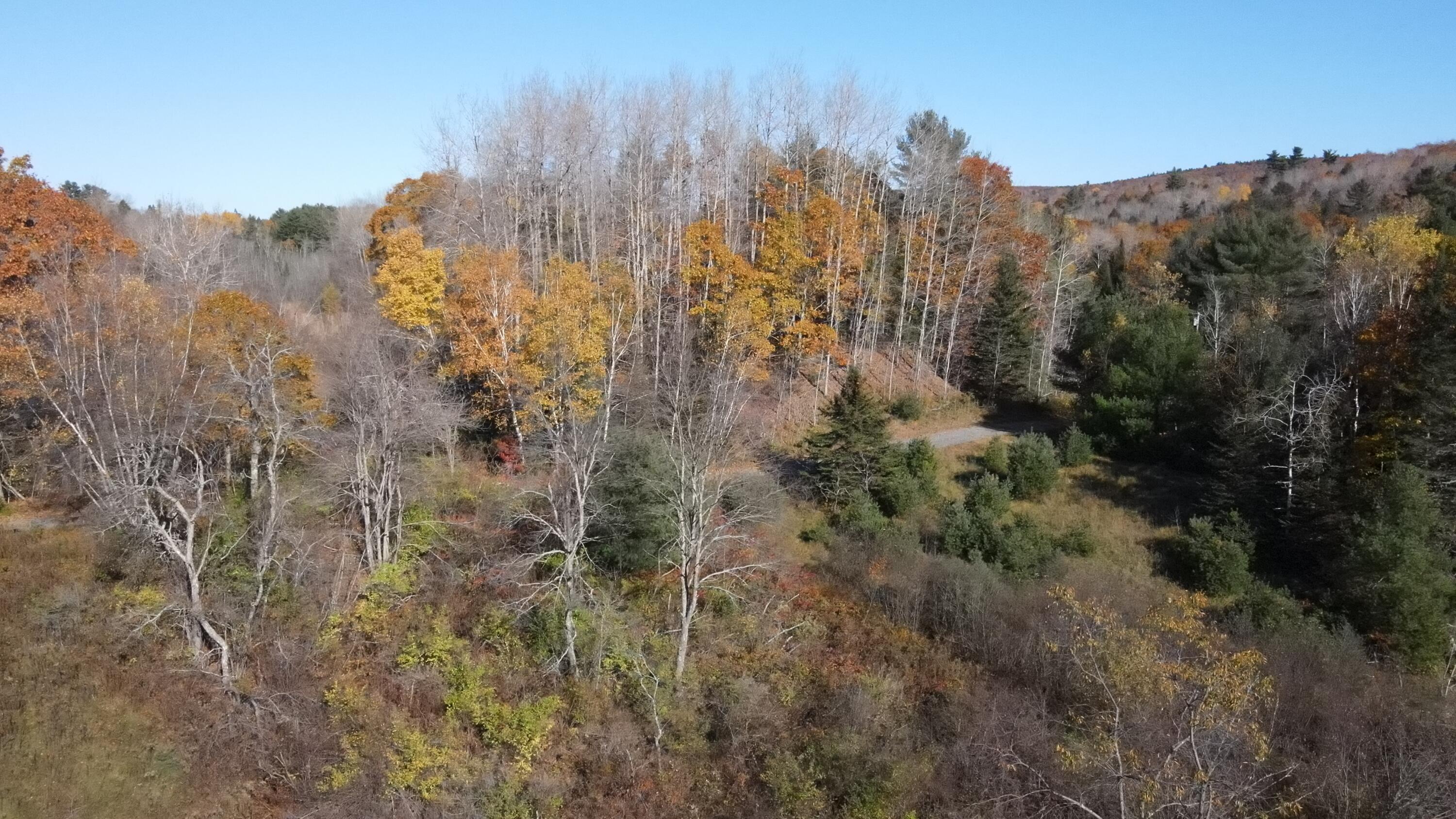 0 Lower Dedham Road Holden, ME 04429 - Photo 26 of 58 Photo_1080295840_DJI_416_jpg_4858660_0_2