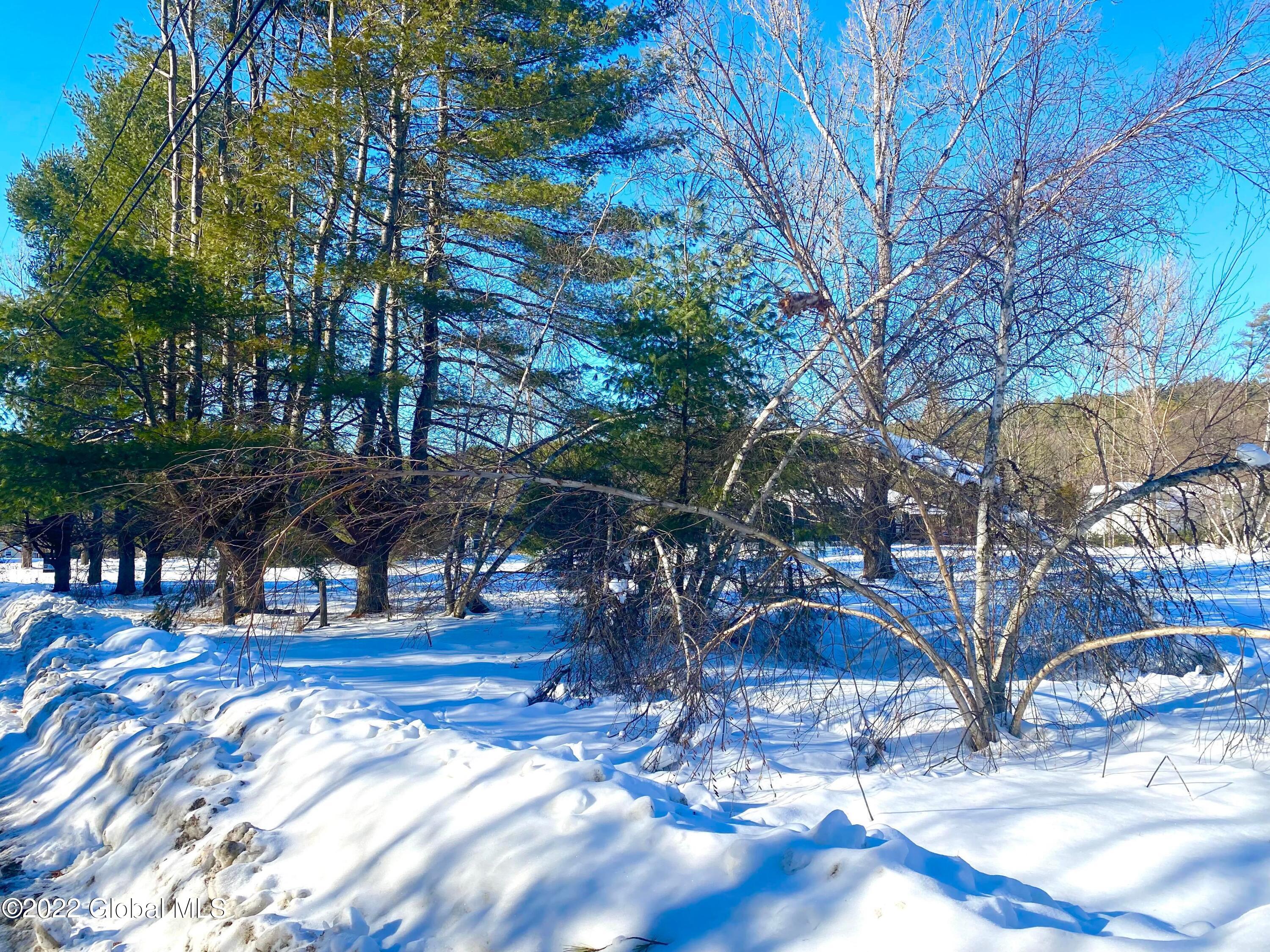 25 River Road Schroon, NY 12870 - Photo 6 of 10 321657043_490716393148479_43311644334958