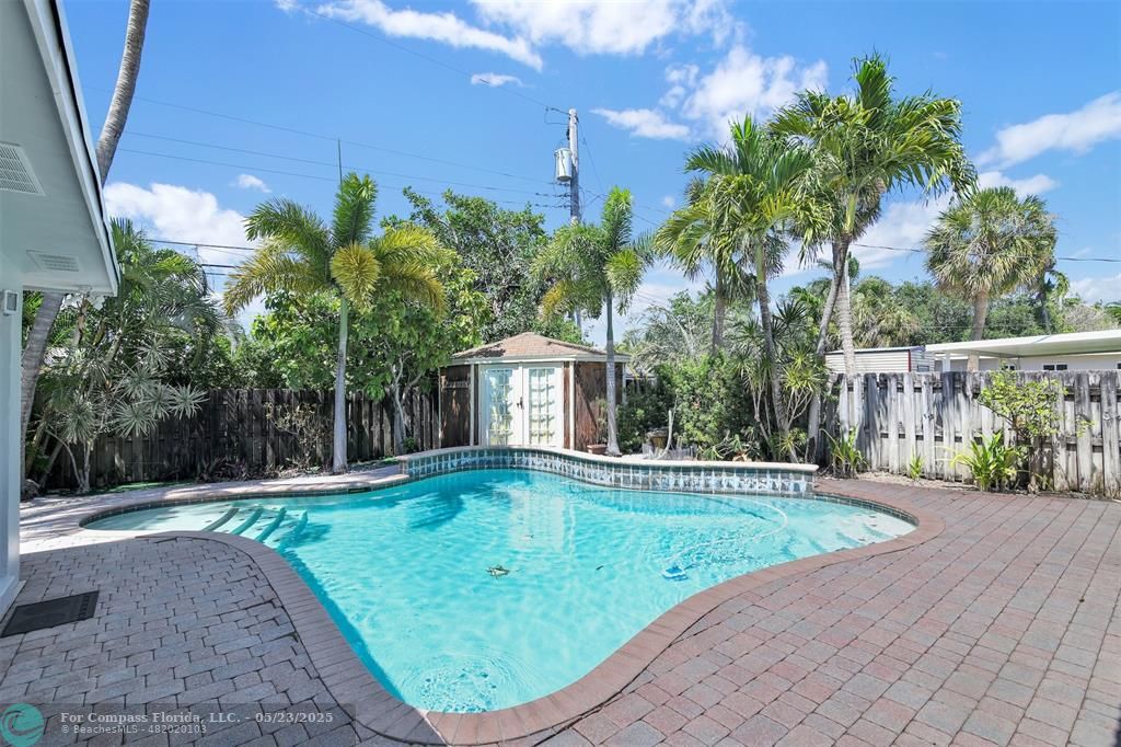 341 Southeast 8th Street Pompano Beach, FL 33060 - Photo 51 of 56 a view of a backyard with plants and large trees