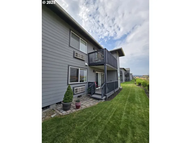 a view of a backyard with plants and a large tree