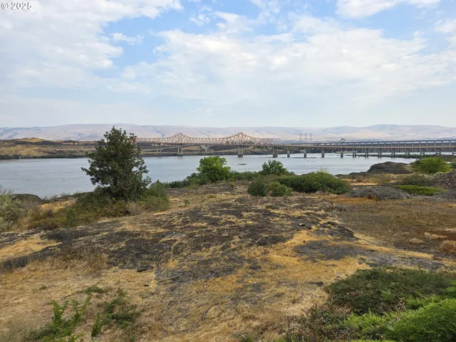 a view of a lake with a city
