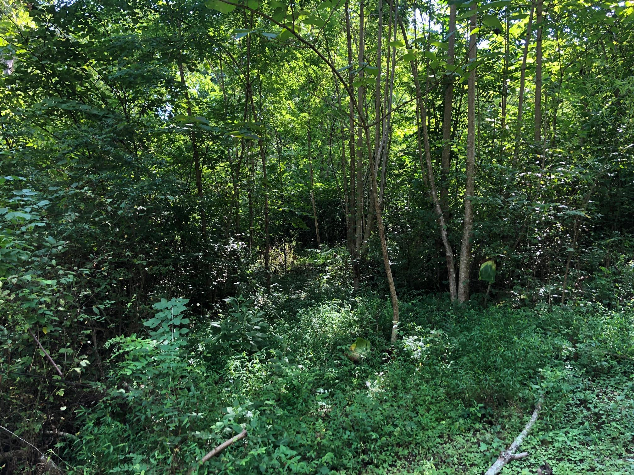 6829 Big Ridge Road, Unit RD Hixson, TN 37343 - Photo 3 of 11 IMG_7122