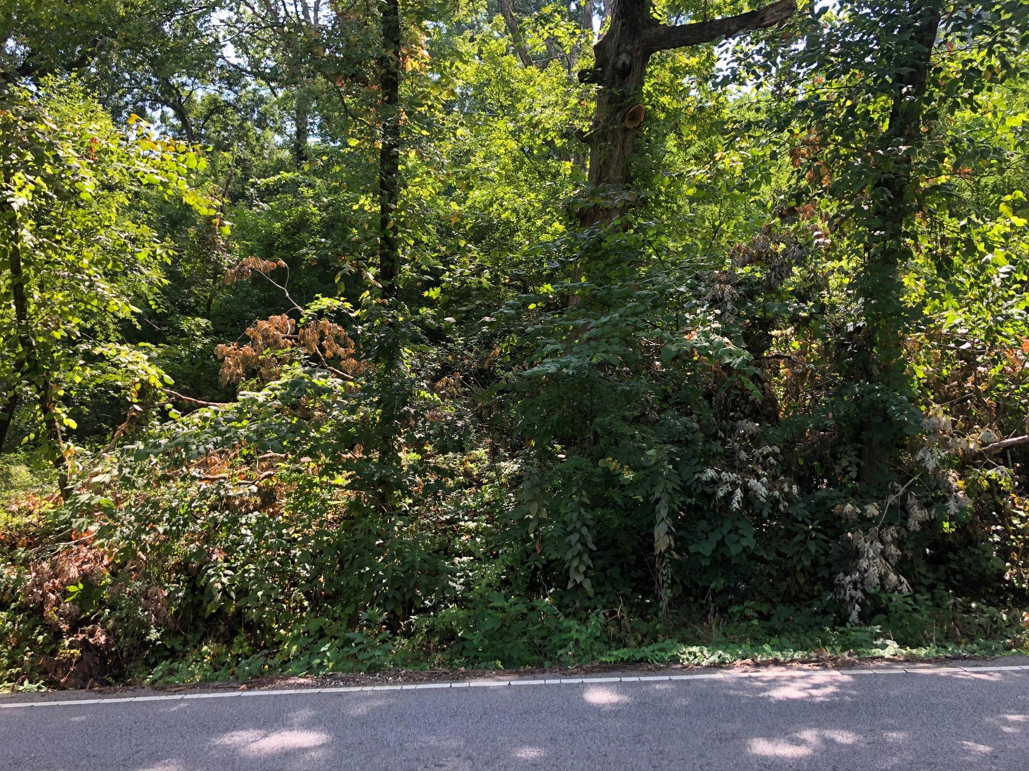 6829 Big Ridge Road, Unit RD Hixson, TN 37343 - Photo 6 of 11 IMG_7126