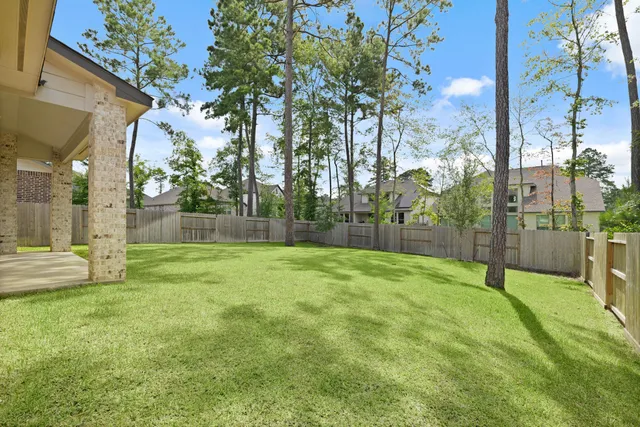 a view of a park with a large tree