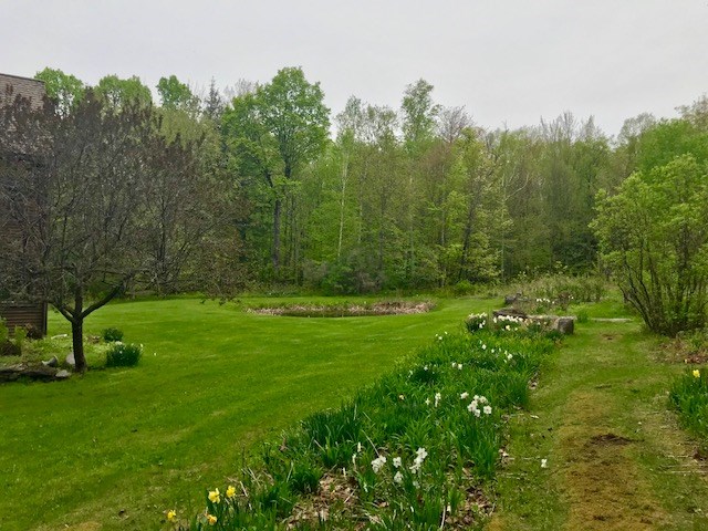 35 Toby Hill Road Newfane, VT 05351 - Photo 4 of 25