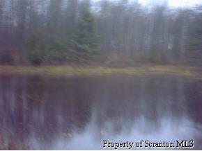 0 Kehlri Road Factoryville, PA 18419 - Photo 3 of 3 Gallery Image 3