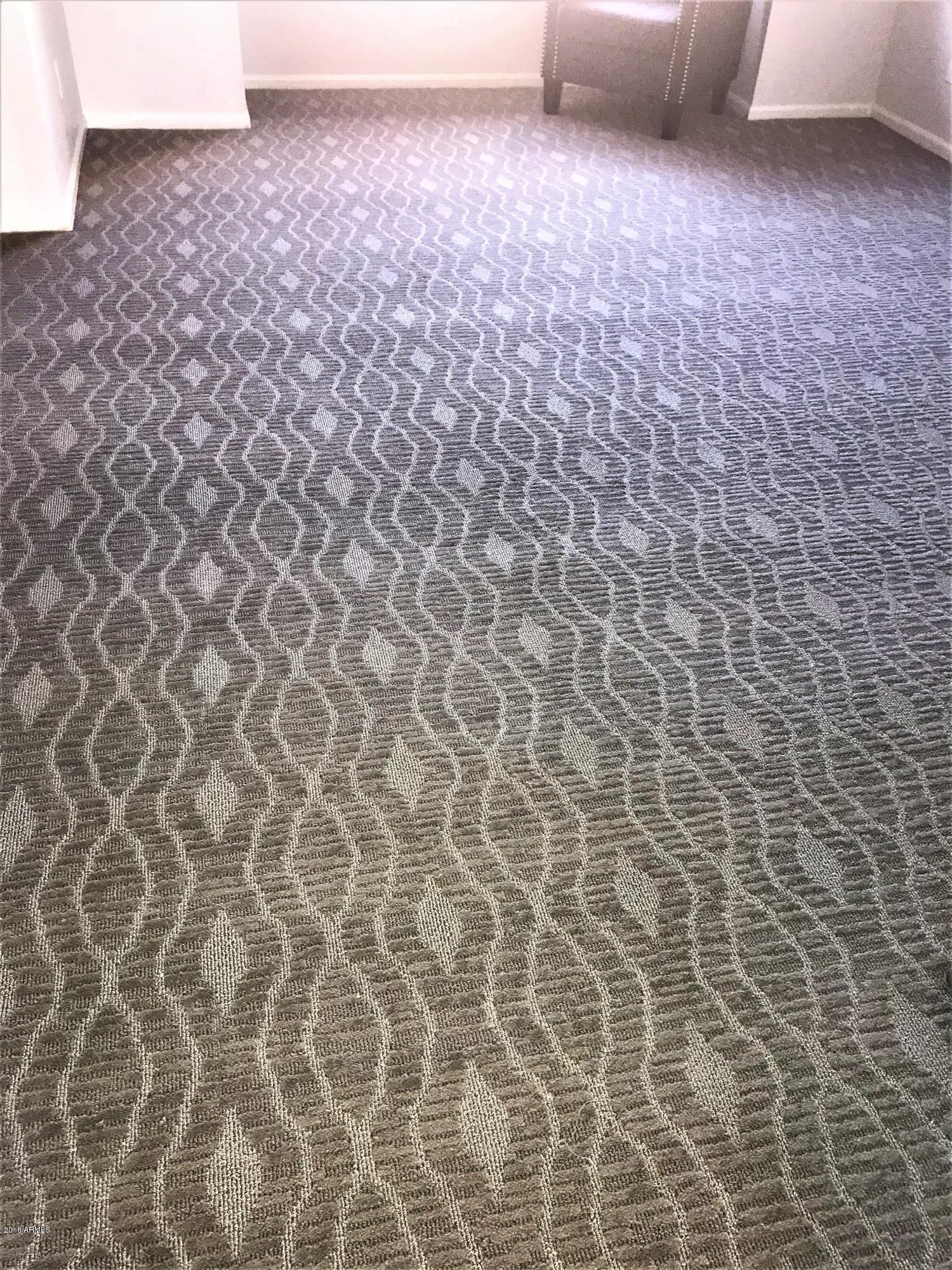 7438 Hum Road, Unit 106 Carefree, AZ 85377 - Photo 43 of 55 Carpet