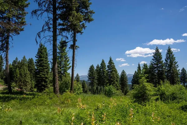 $717,750 | 656 Aster Court, Unit 67, McCall, ID 83638