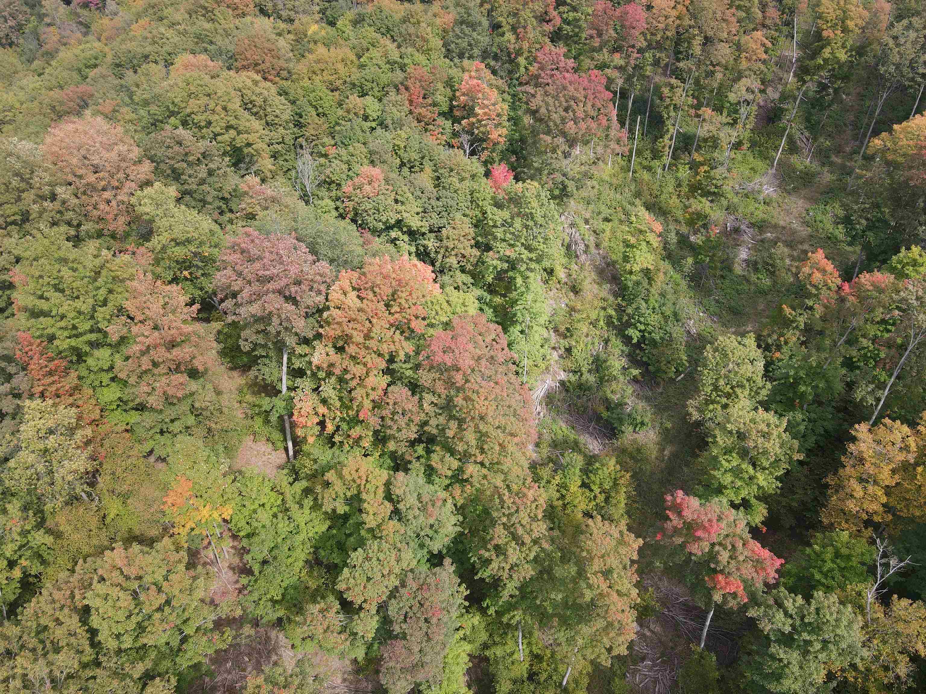 90 A Ridgeview Drive Kalkaska, MI 49646 - Photo 2 of 75