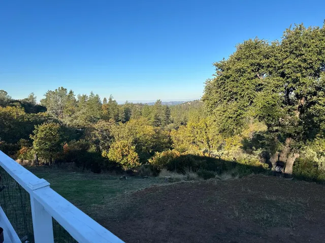 a view of a yard with plants and a trees