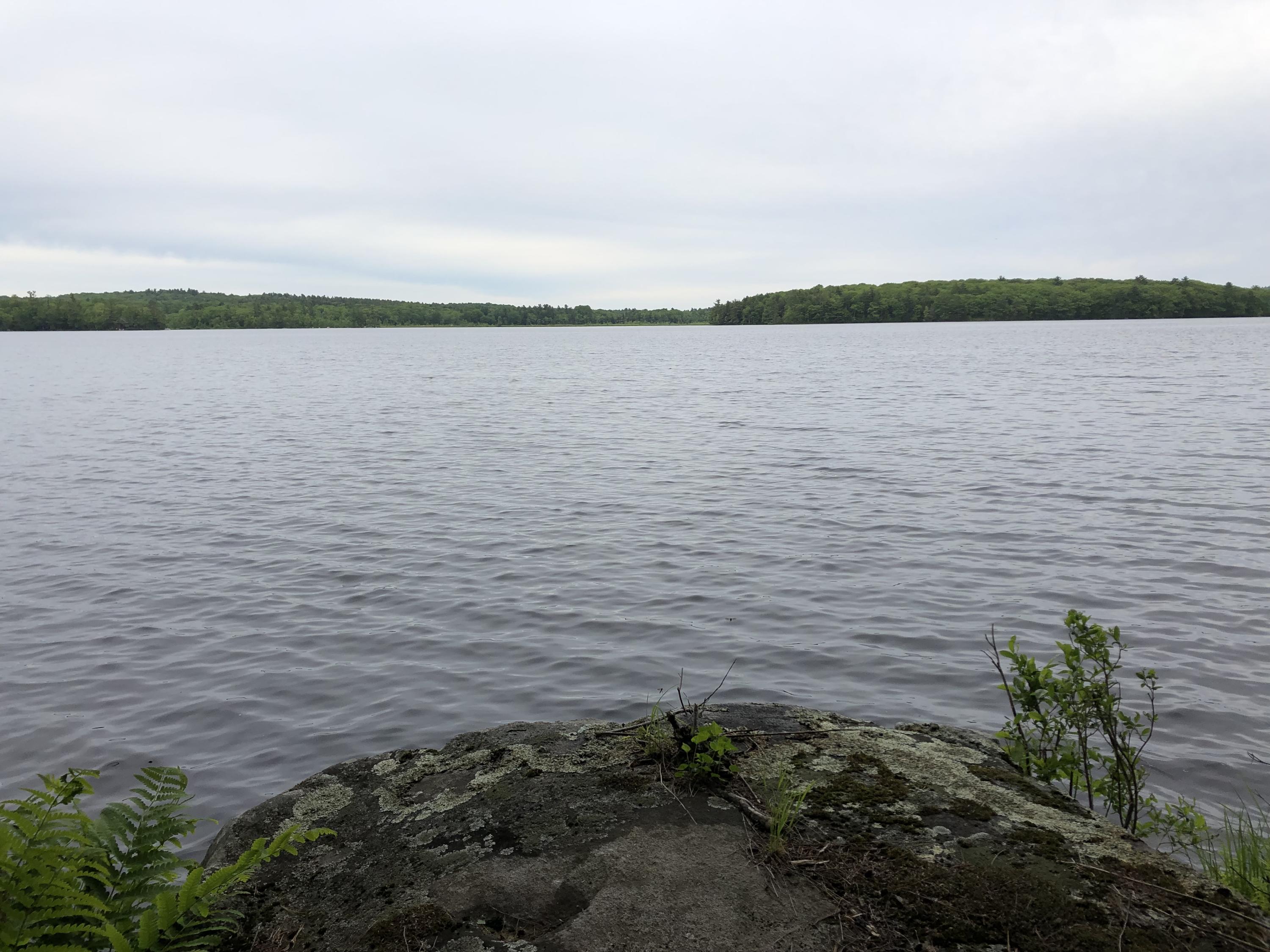 0 Albin Road Searsmont, ME 04973 - Photo 11 of 21 IMG_2658