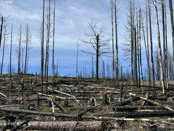 $48,000 | Hicks Road, Unit 400, Bly, OR 97622