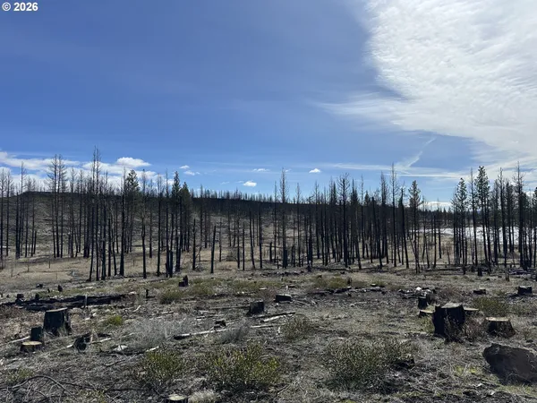 $48,000 | Hicks Road, Unit 400, Bly, OR 97622