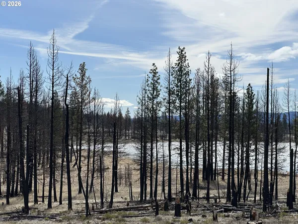 $48,000 | Hicks Road, Unit 400, Bly, OR 97622