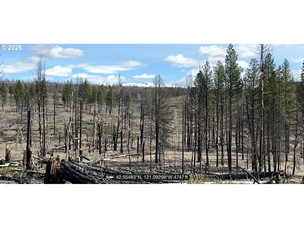 $48,000 | Hicks Road, Unit 400, Bly, OR 97622