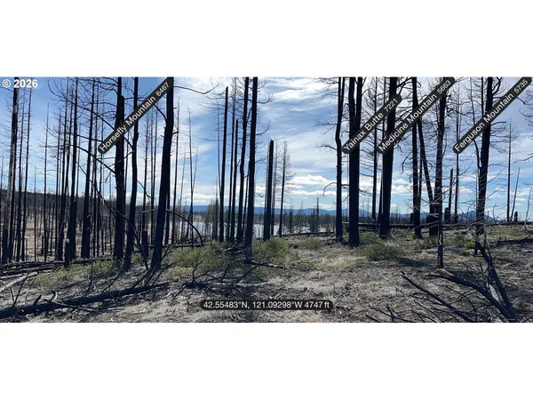 $48,000 | Hicks Road, Unit 400, Bly, OR 97622