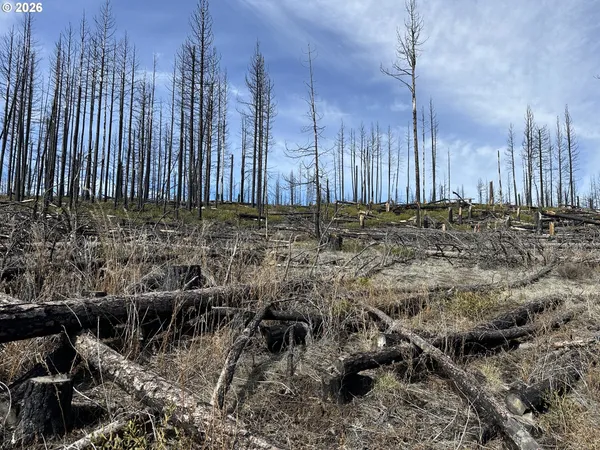 $48,000 | Hicks Road, Unit 400, Bly, OR 97622