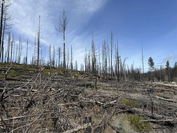 $48,000 | Hicks Road, Unit 400, Bly, OR 97622