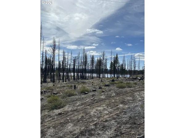 $48,000 | Hicks Road, Unit 400, Bly, OR 97622