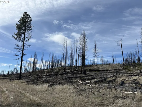 $48,000 | Hicks Road, Unit 400, Bly, OR 97622