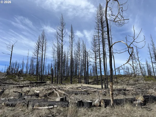 $48,000 | Hicks Road, Unit 400, Bly, OR 97622