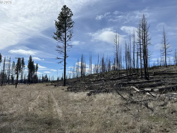 $48,000 | Hicks Road, Unit 400, Bly, OR 97622