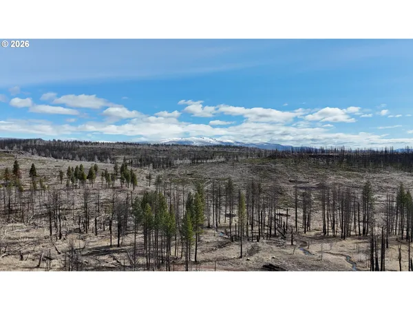 $48,000 | Hicks Road, Unit 400, Bly, OR 97622