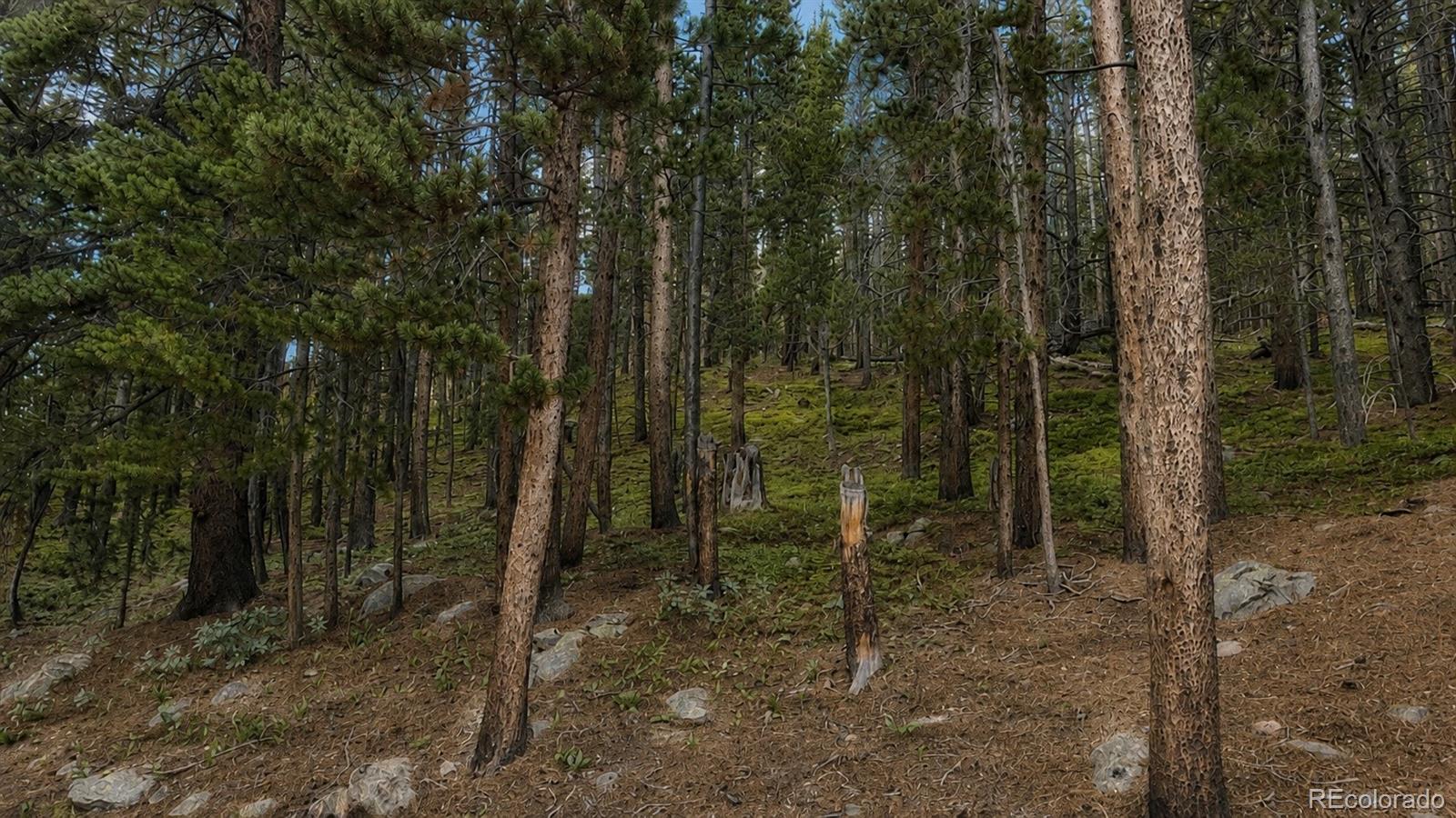 0 Steuart Road Idaho Springs, CO 80452 - Photo 8 of 19 Gallery Image 8