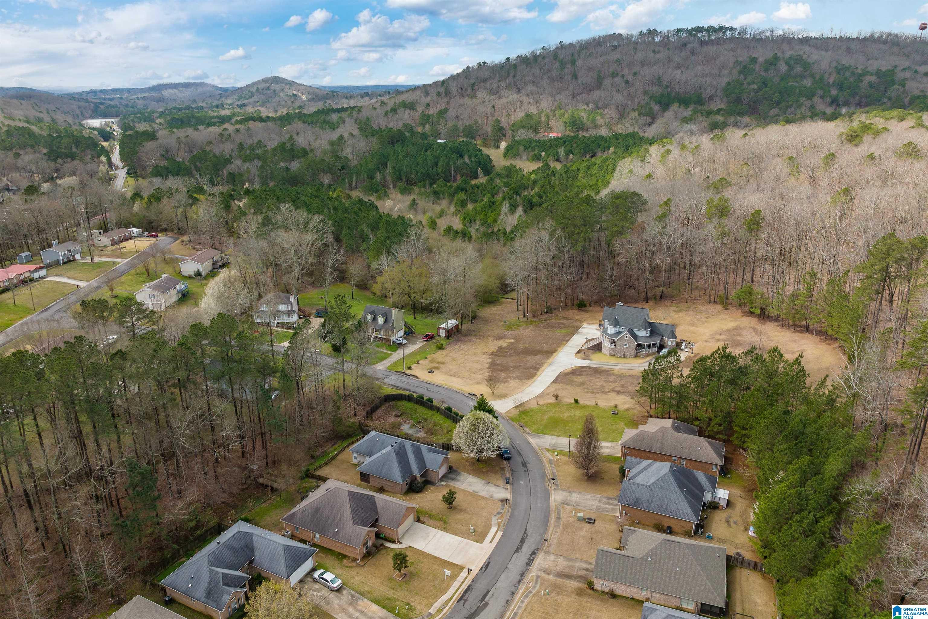 6734 Heaton Manor Pinson, AL 35126 - Photo 24 of 29