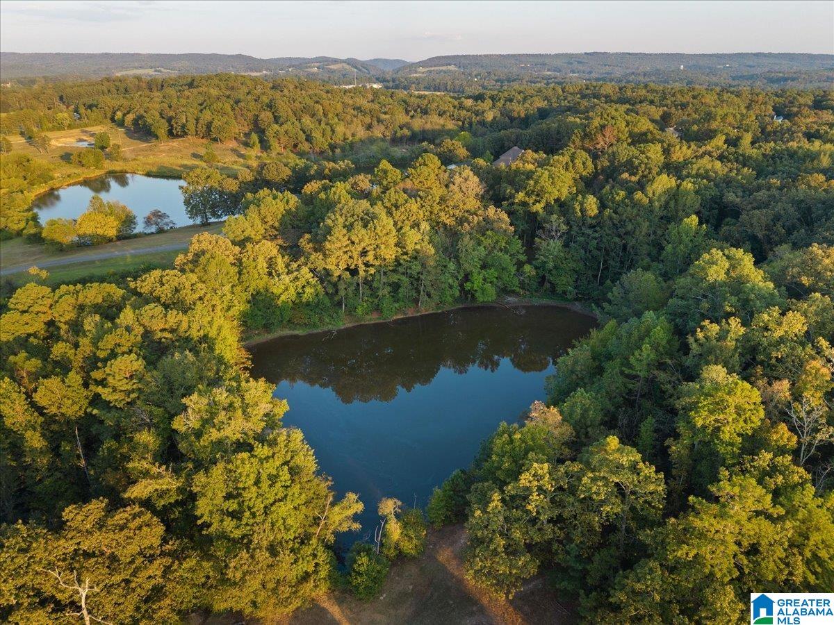 0 Shady Point Road, Unit 18 18 & 19 Locust Fork, AL 35097 - Photo 26 of 26