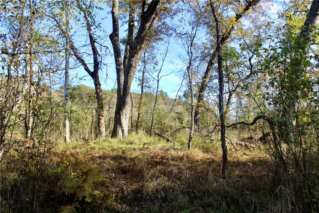 0 South Lowes Creek Road Eau Claire, WI 54701 - Photo 29 of 59