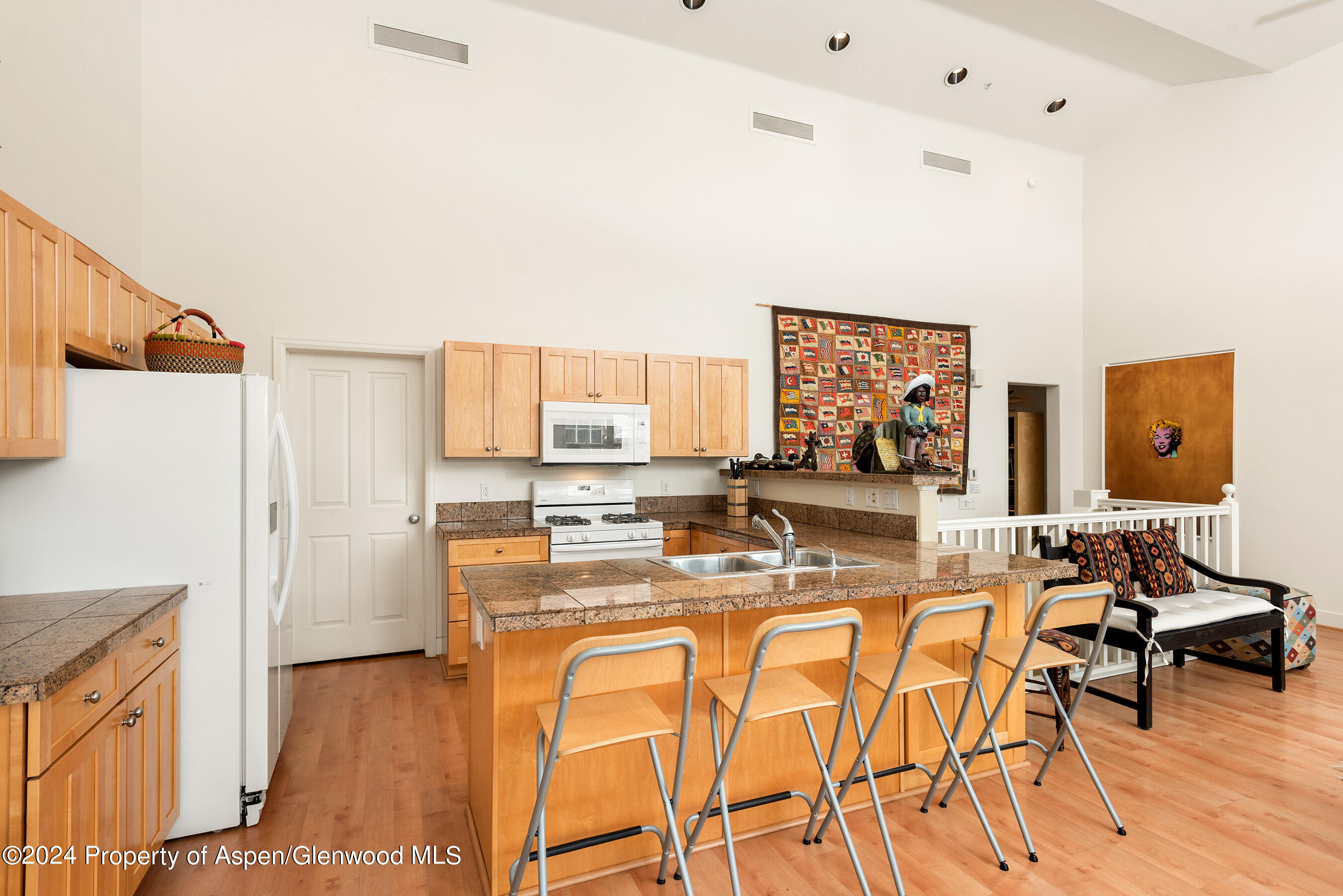 546 Evans Court Basalt, CO 81621 - Photo 5 of 12 546EvansCt_DASH_230404007