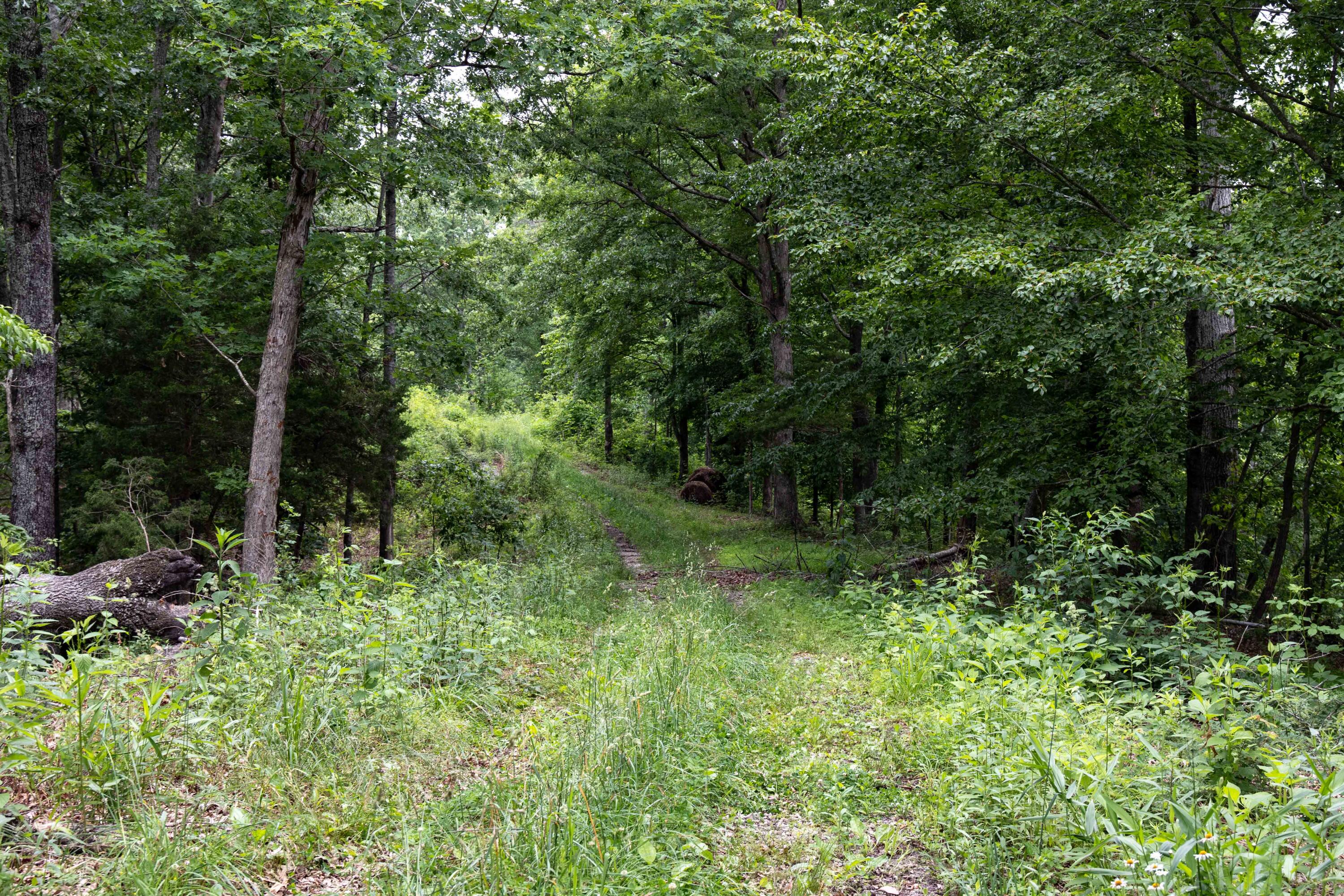 799 Hargett Road Irvine, KY 40336 - Photo 47 of 71 779Hargetroad-52