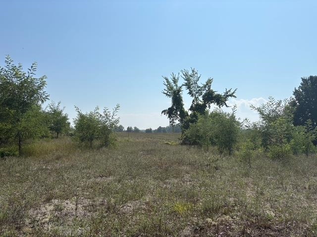 Erdt Road Suttons Bay, MI 49682 - Photo 21 of 36 Gallery Image 21