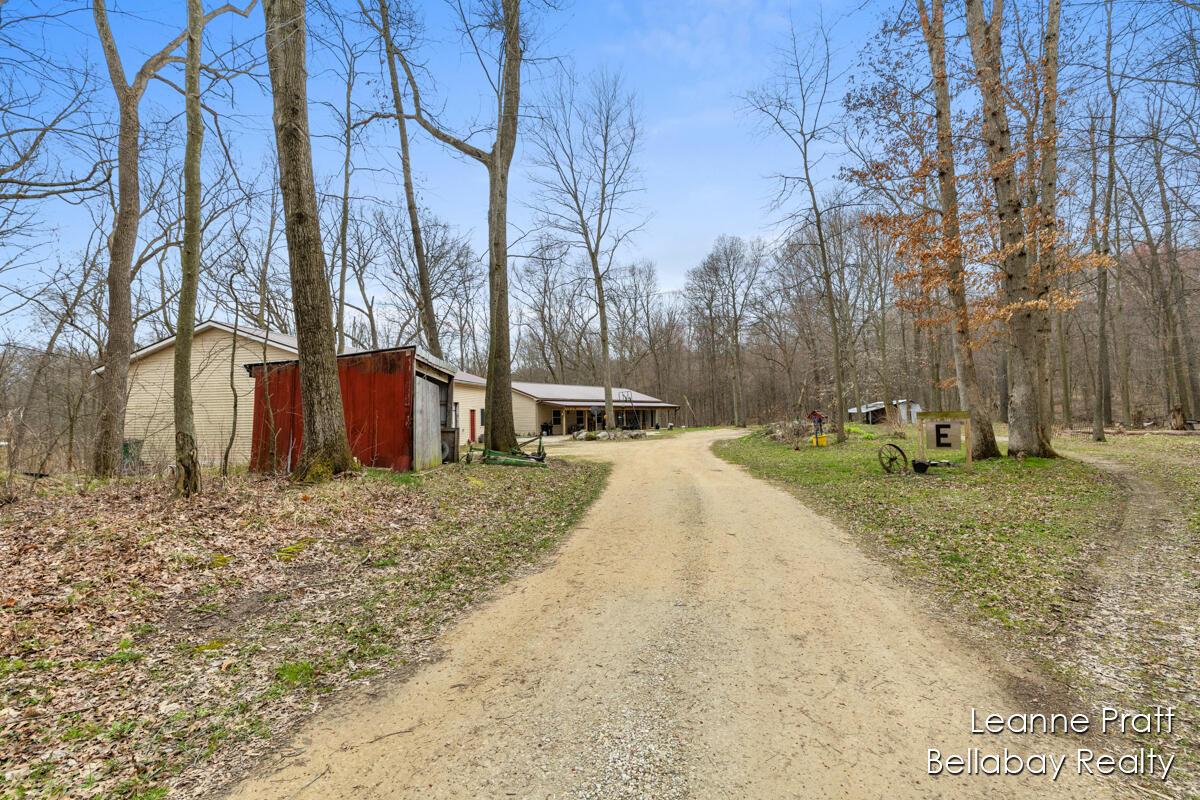 9580 South Banfield Road Dowling, MI 49050 - Photo 6 of 33 IMG_1005
