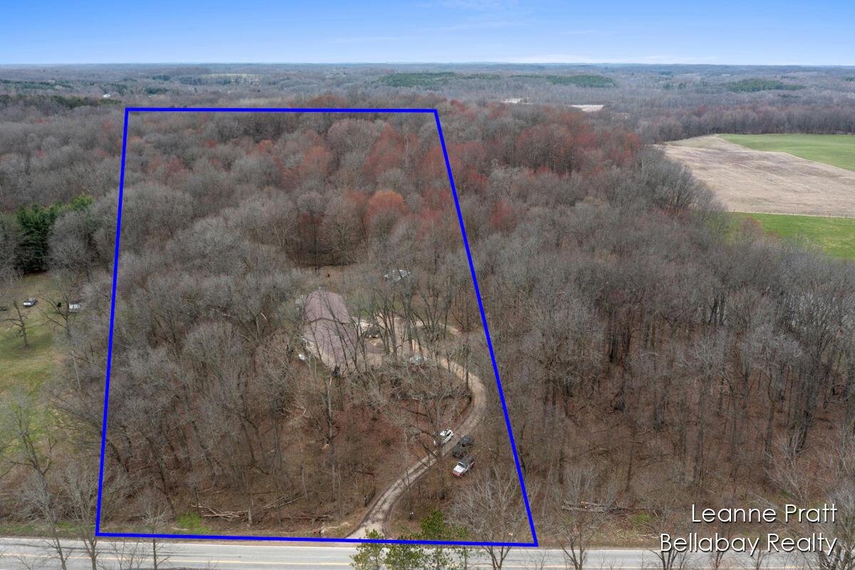 9580 South Banfield Road Dowling, MI 49050 - Photo 8 of 33 Plot line